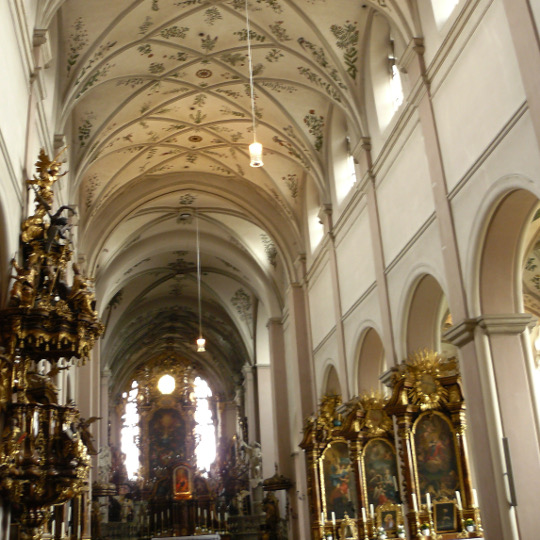 Deckengemälde mit Süßholz im Bamberger Dom